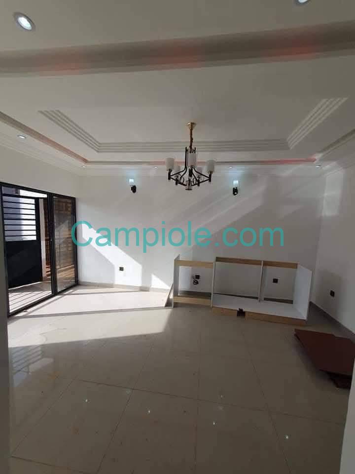 ZD_studio_damas_031025_sln1