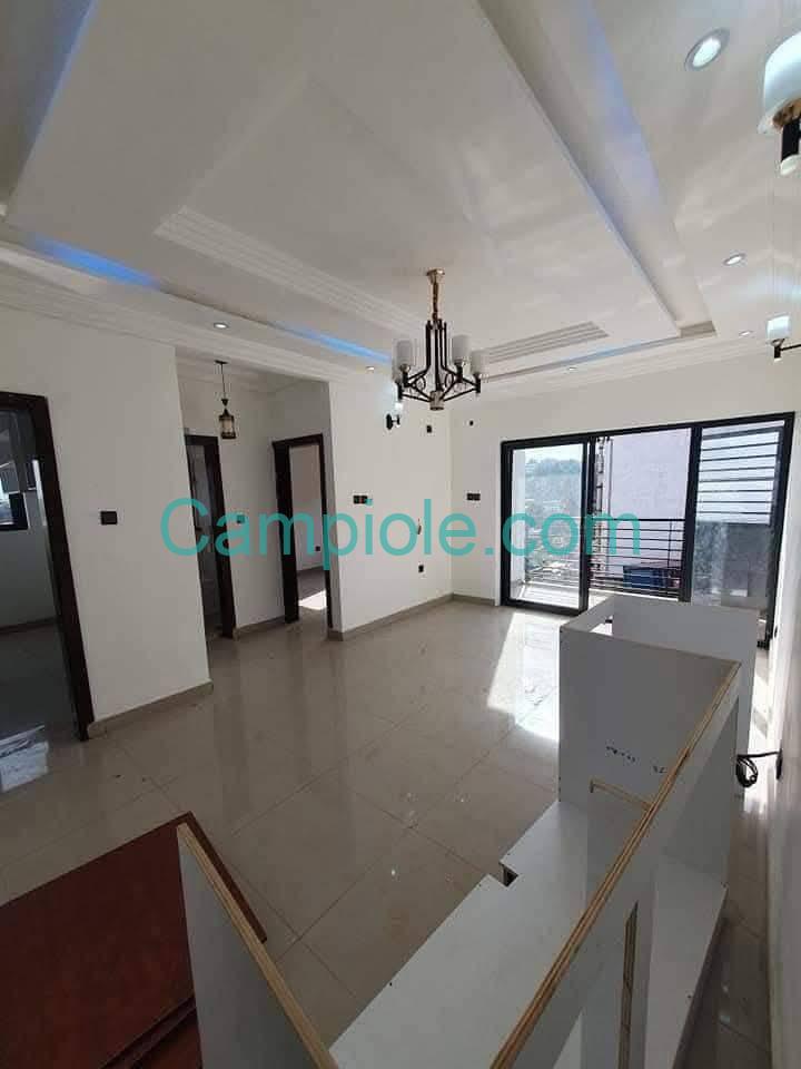 ZD_studio_damas_031025_sln2