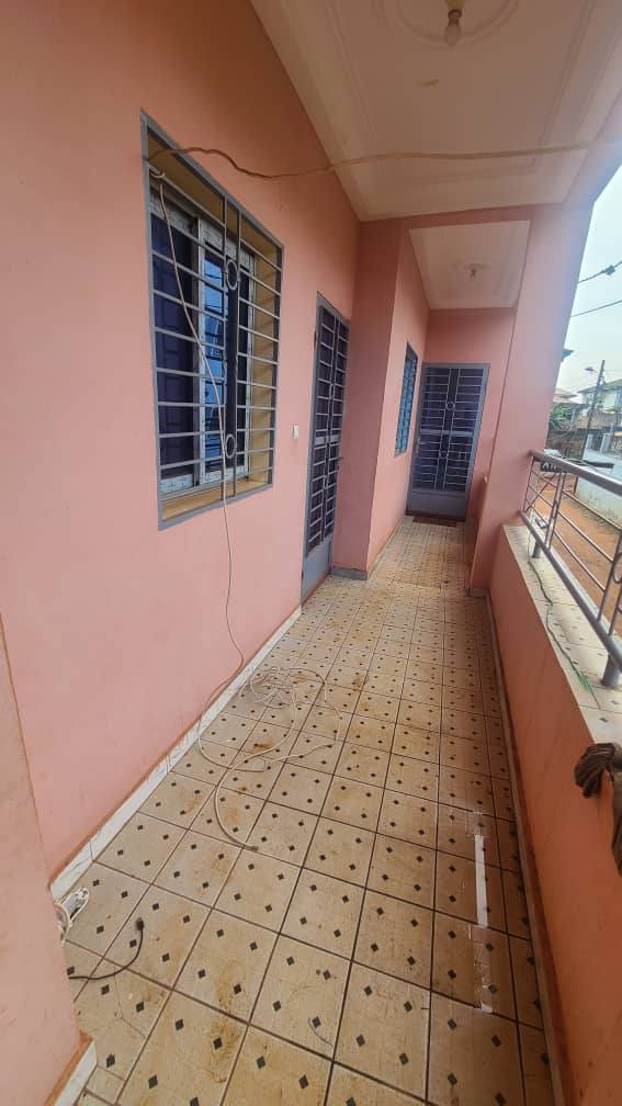 ZD_studio_damas_161025_blcn