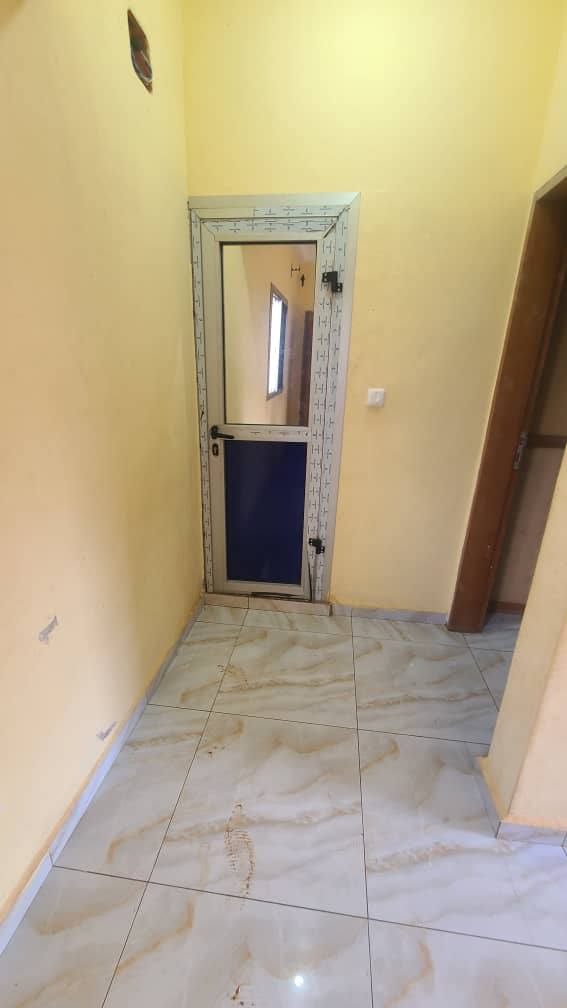 ZD_studio_damas_161025_clr