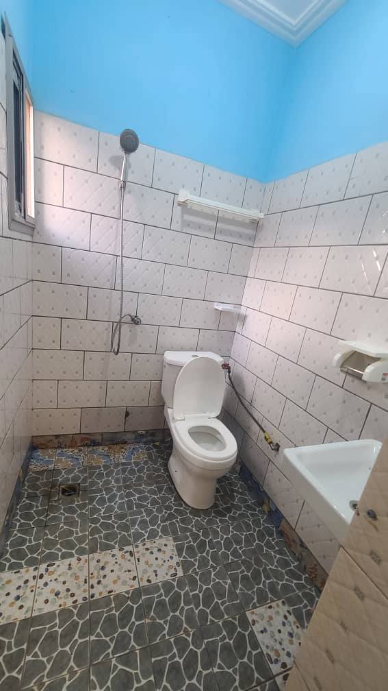 ZD_studio_damas_161025_dch2