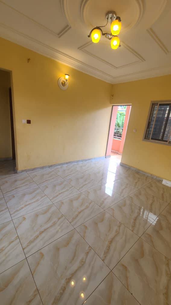 ZD_studio_damas_161025_sln1