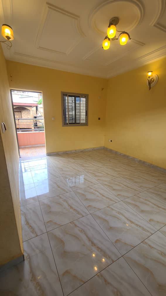 ZD_studio_damas_161025_sln2