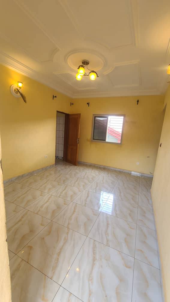 ZD_studio_damas_161025_sln3