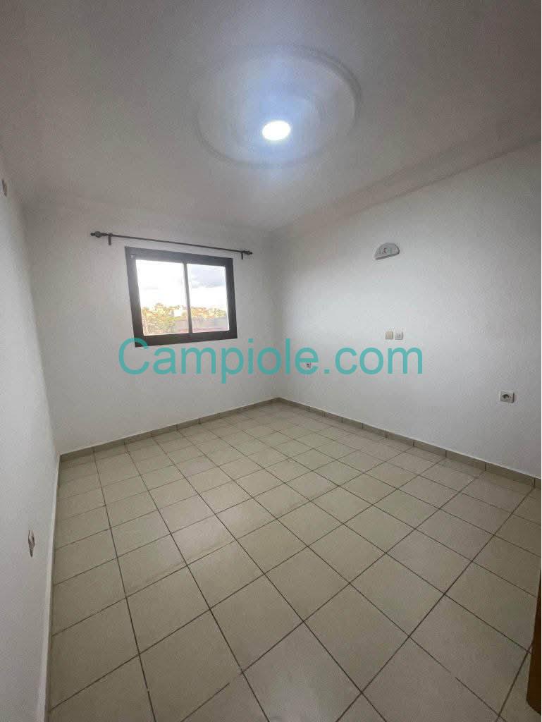 ZD_studio_mendong_031025_chb1