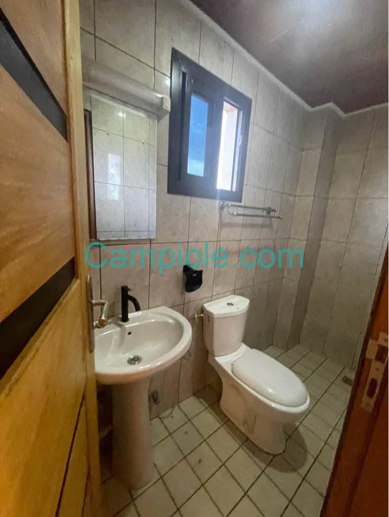 ZD_studio_mendong_031025_dch