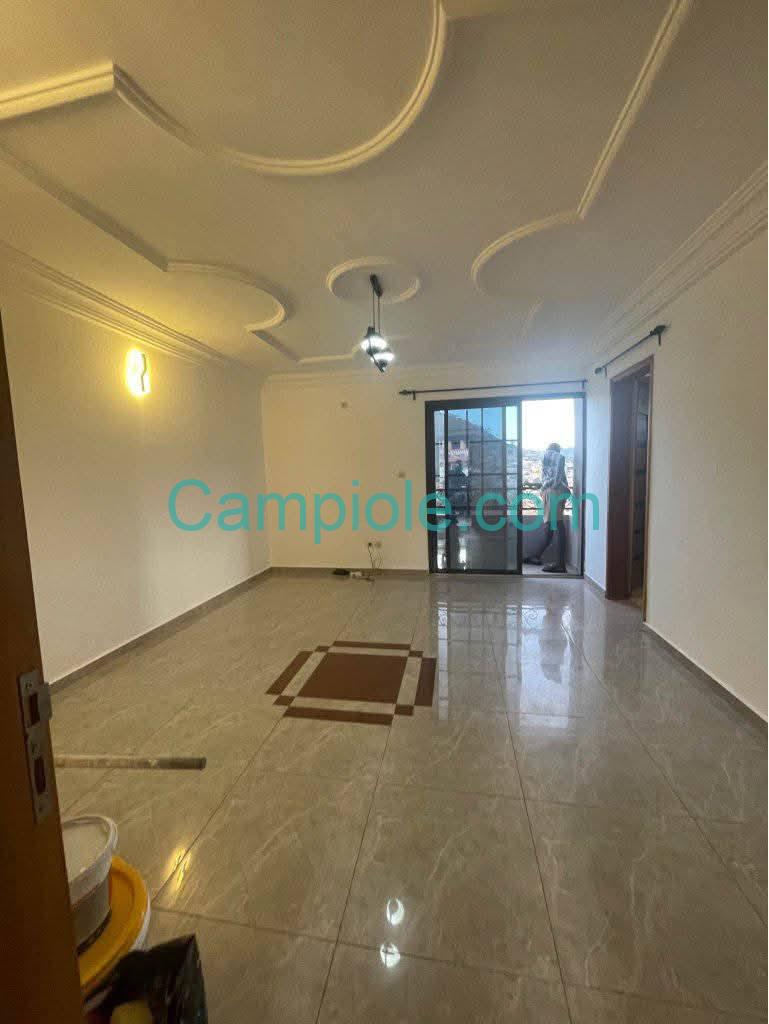 ZD_studio_mendong_031025_sln1