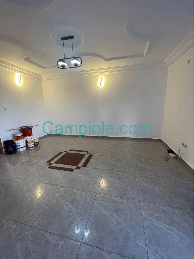 ZD_studio_mendong_031025_sln2