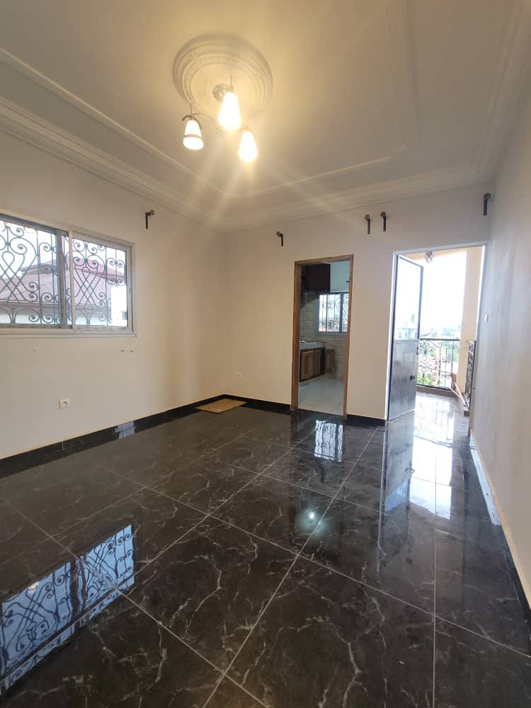 ZD_studio_nsimeyong_161025_sln1