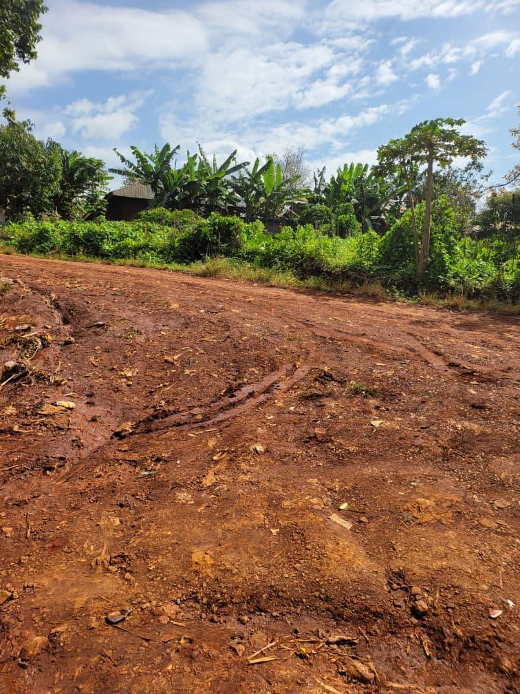 700m² terrain non titré à vendre sur Bafoussam évêché