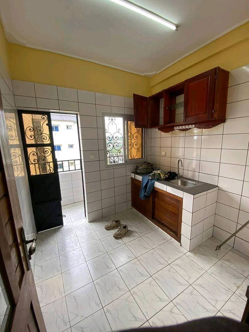 LI_appartement_doualaHG_131125_cs1