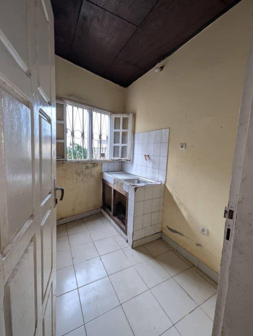 LI_studio_damas_191125_csn