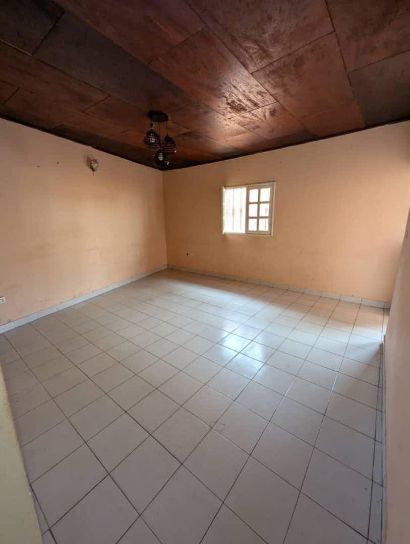 LI_studio_damas_191125_sln1