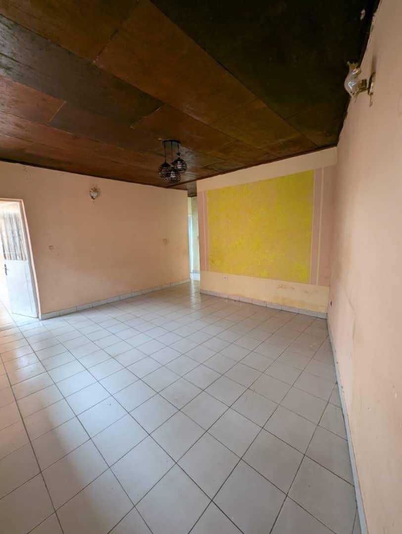 LI_studio_damas_191125_sln2