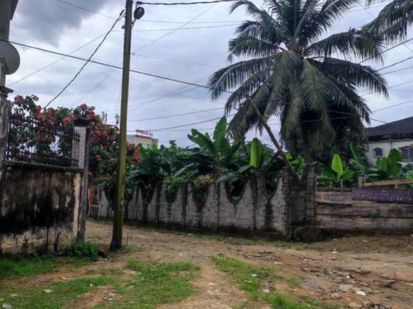 TERRAIN TITRÉ À VENDRE, DOUALA MAKEPE BM