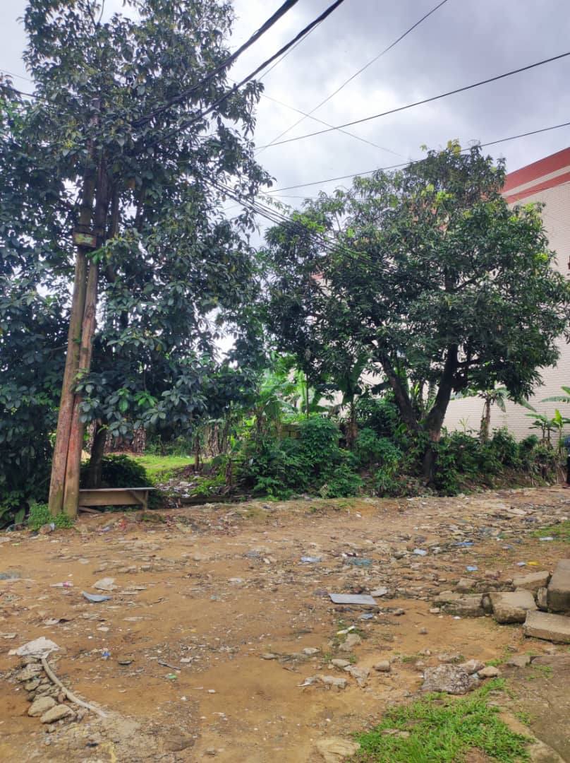 LI_terrain_douala_makepe_041125_03