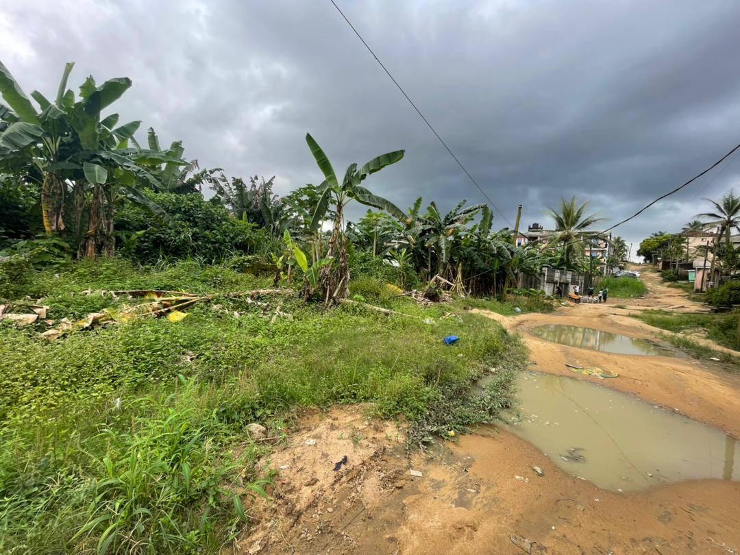 Terrain titré à vendre à Logbessou crtv
