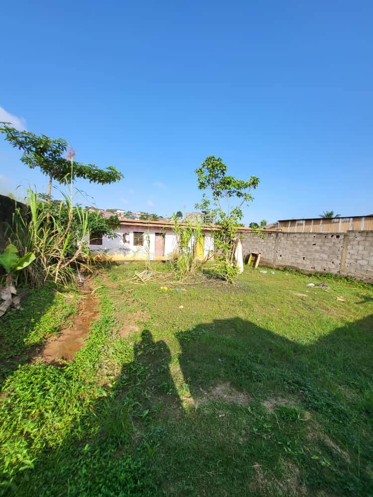 PIL_terrain_odza_081125_01