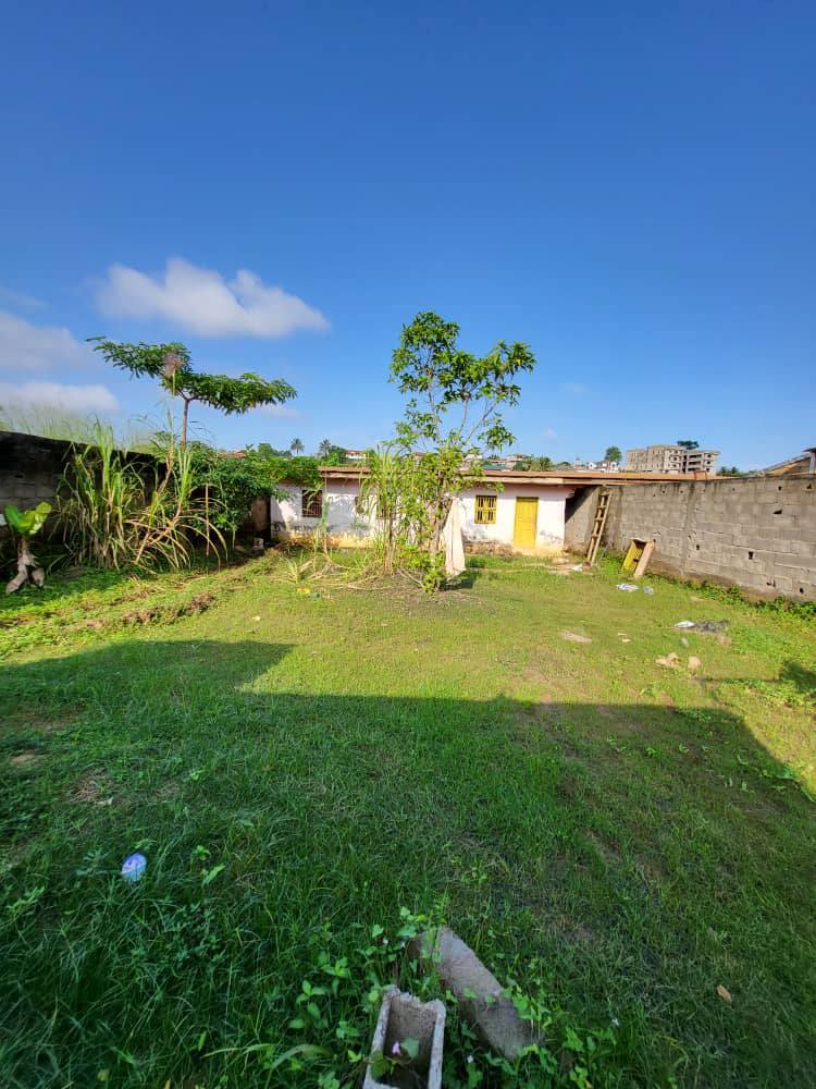 PIL_terrain_odza_081125_02