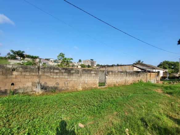 Terrain 500m2 à vendre, Odza petit marché