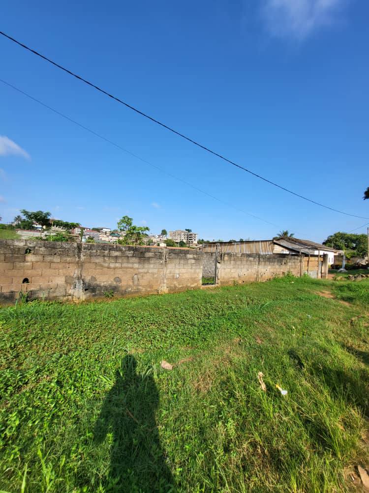 PIL_terrain_odza_081125_03