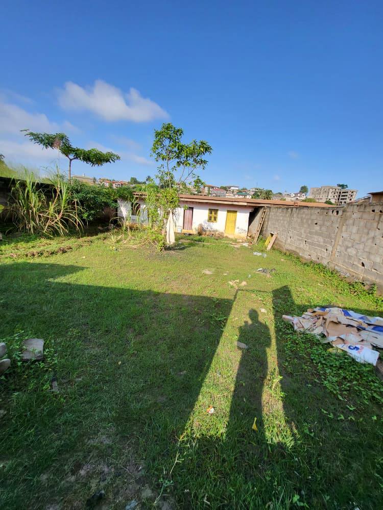 PIL_terrain_odza_081125_05