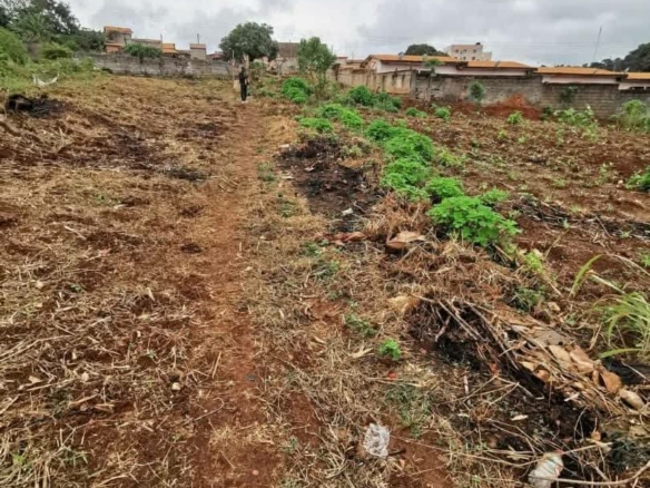 TERRAIN À VENDRE PLEIN CENTRE DE SOA