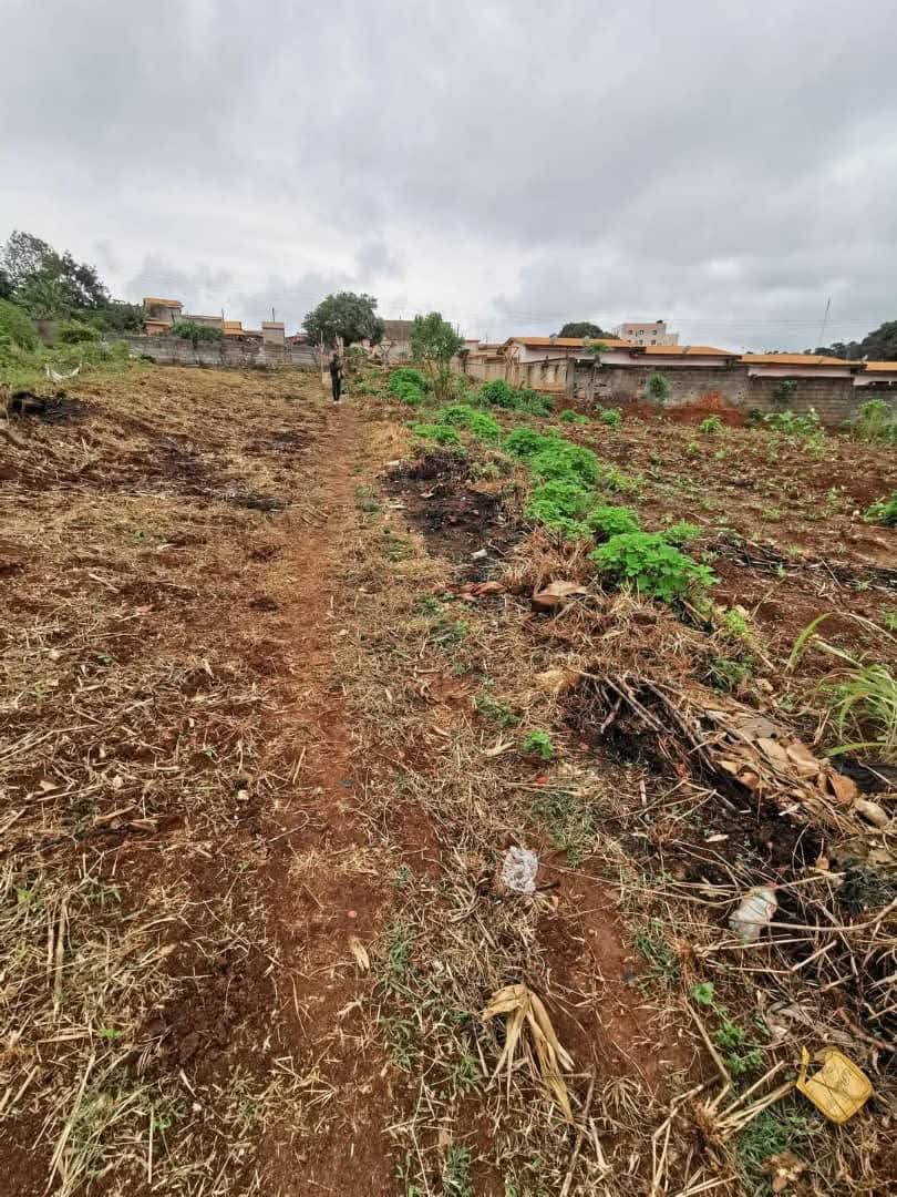 PIL_terrain_soa_081125_01