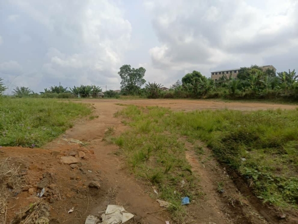 Terrain à vendre à Logbessou vers l'école Arisa