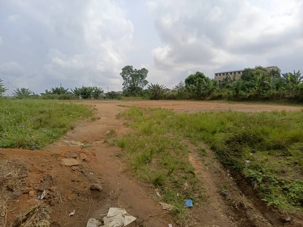 Terrain à vendre à Logbessou vers l'école Arisa