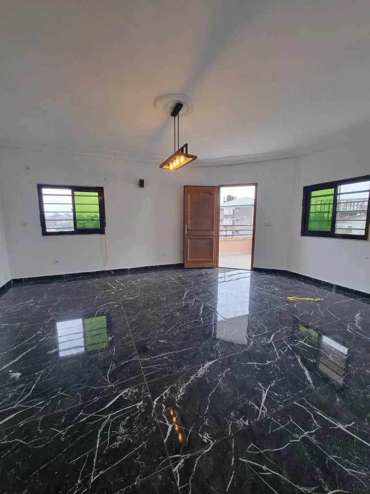 43241- APPARTEMENT MODERNE ENTIEREMENT STAFFÉ SITUÉ À LOGBESSOU