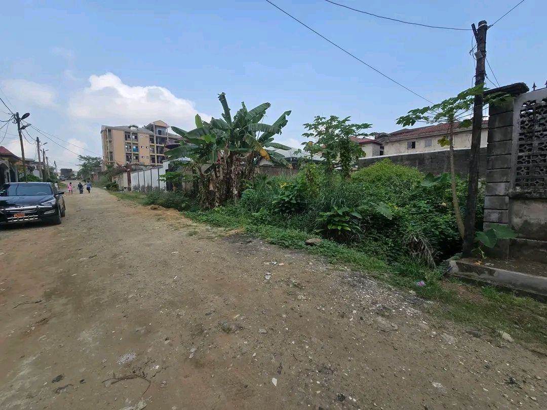 Terrain titré à vendre à Kotto Collège Briquini