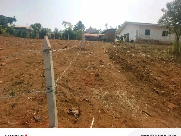 TERRAIN TITRÉ À VENDRE PONT INO BAFOUSSAM