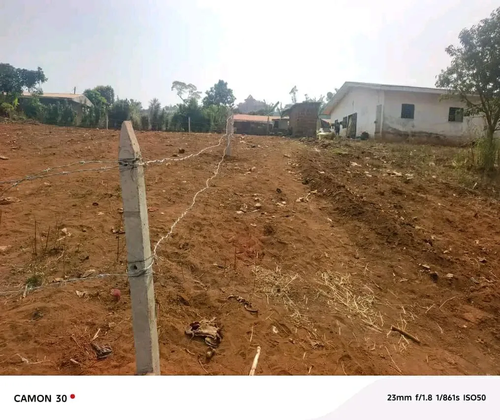 39073- TERRAIN TITRÉ À VENDRE PONT INO BAFOUSSAM