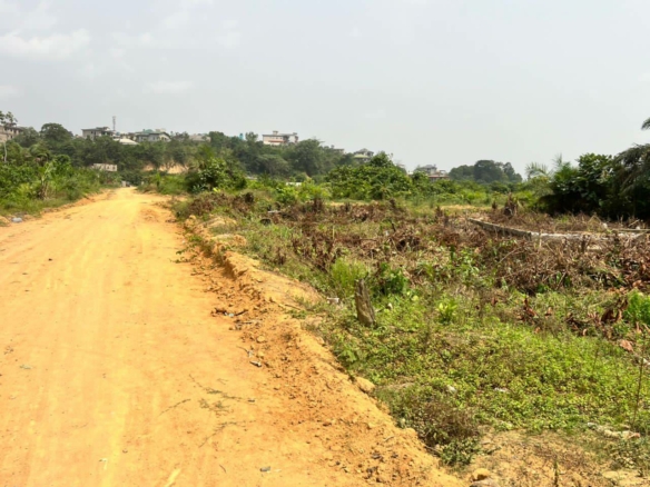 TERRAIN PLAT ET SEC TITRÉ À VENDRE À KOTTO