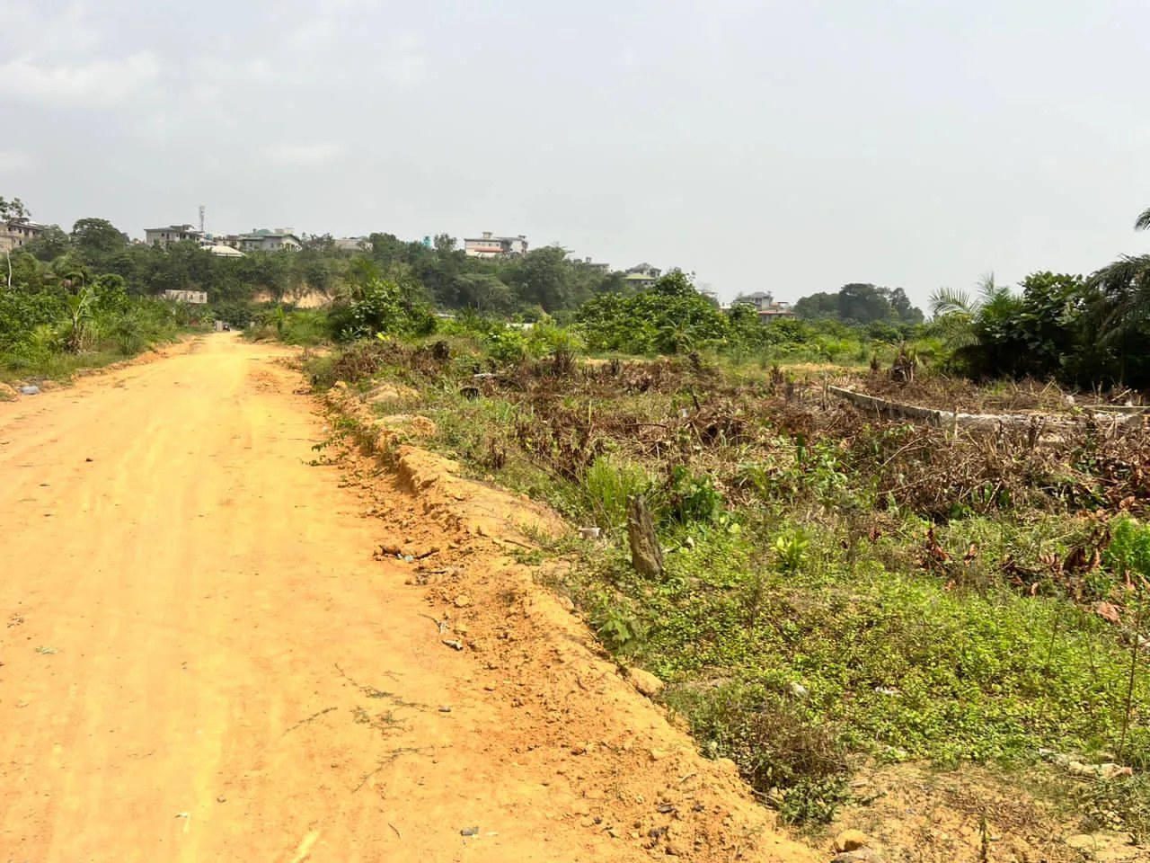 37034- TERRAIN PLAT ET SEC TITRÉ À VENDRE À KOTTO