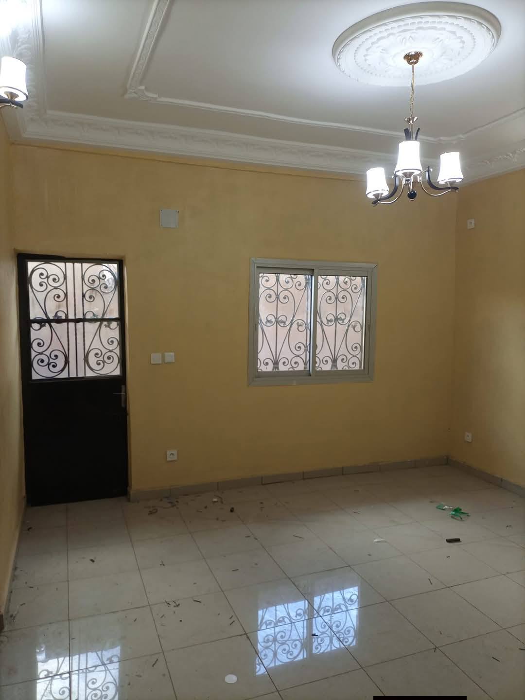 DZ_studio_nsam_200226_sln1