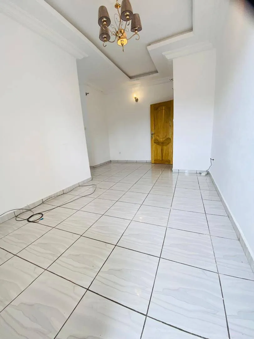 Joli Studio Moderne Staffé, Logpom Gabon Bar