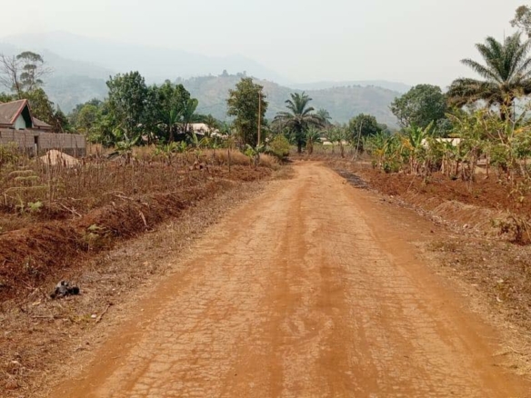 Piece of land on sale below the university of Bamenda