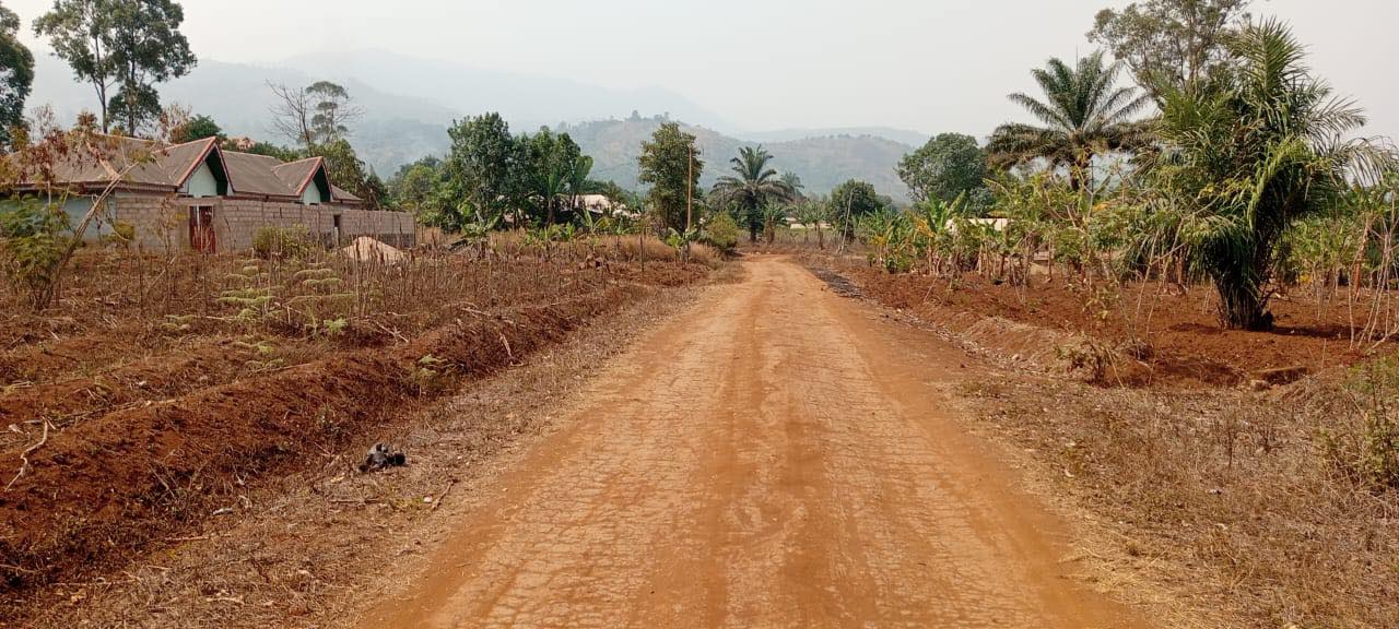 Piece of land on sale below the university of Bamenda