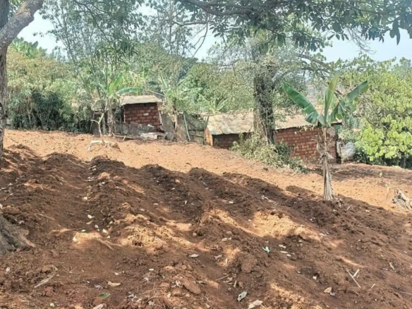 Terrain Titré à Vendre, Bafoussam college Tama