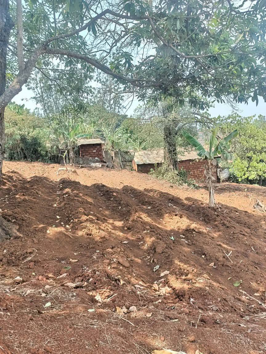 Terrain Titré à Vendre, Bafoussam college Tama