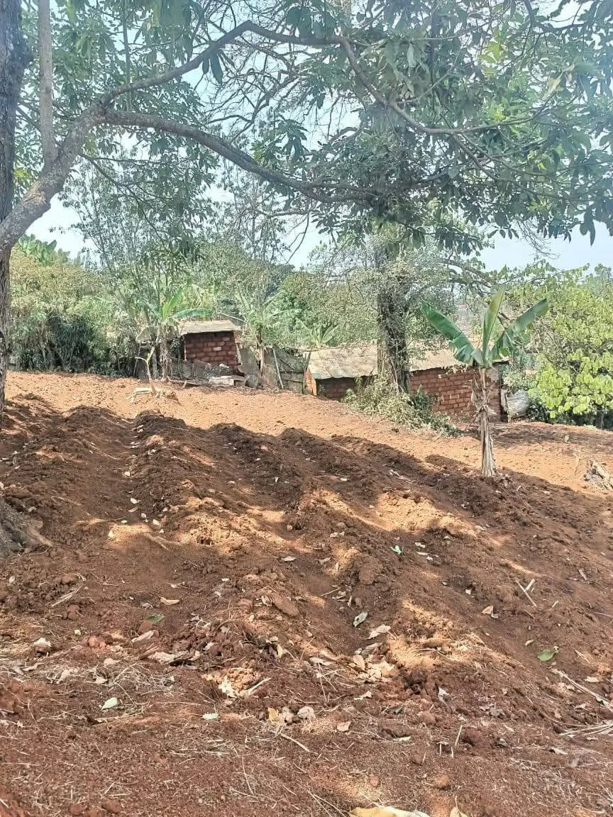 39073- Terrain Titré à Vendre, Bafoussam college Tama