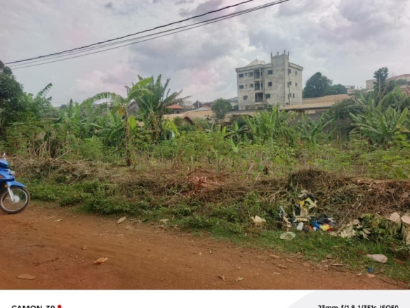 40387- Terrain Titré 800m² à Vendre Quartier Haoussa, Bafoussam