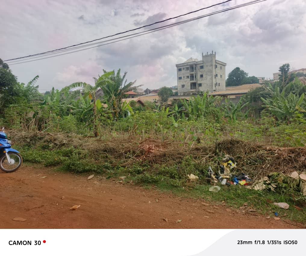Terrain Titré 800m² à Vendre Quartier Haoussa, Bafoussam
