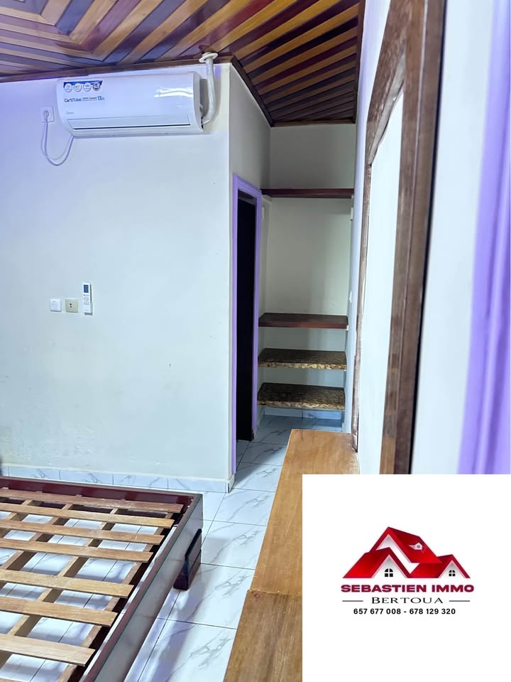 SIB_studio_bertoua_30032_chb1