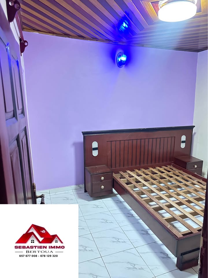 SIB_studio_bertoua_30032_chb2