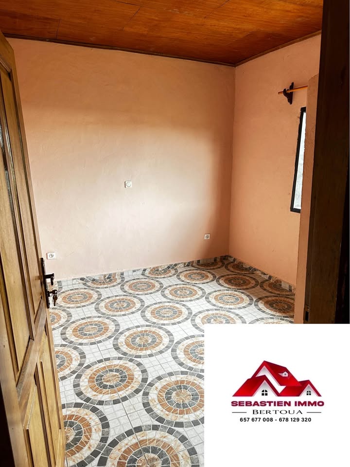 SI_studio_bertoua_290326_chb2