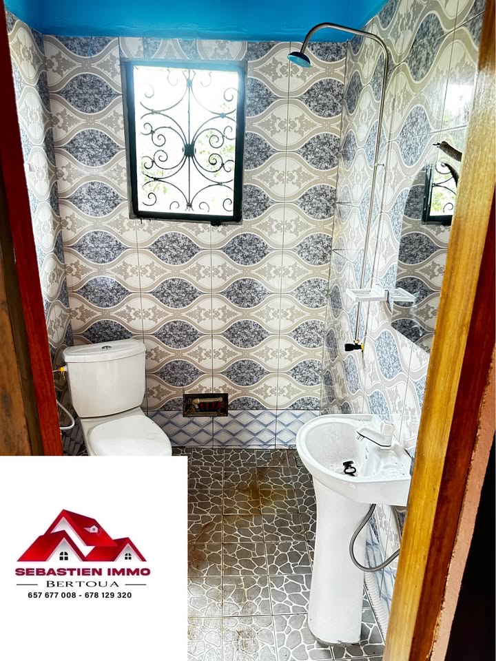 SI_studio_bertoua_290326_dch