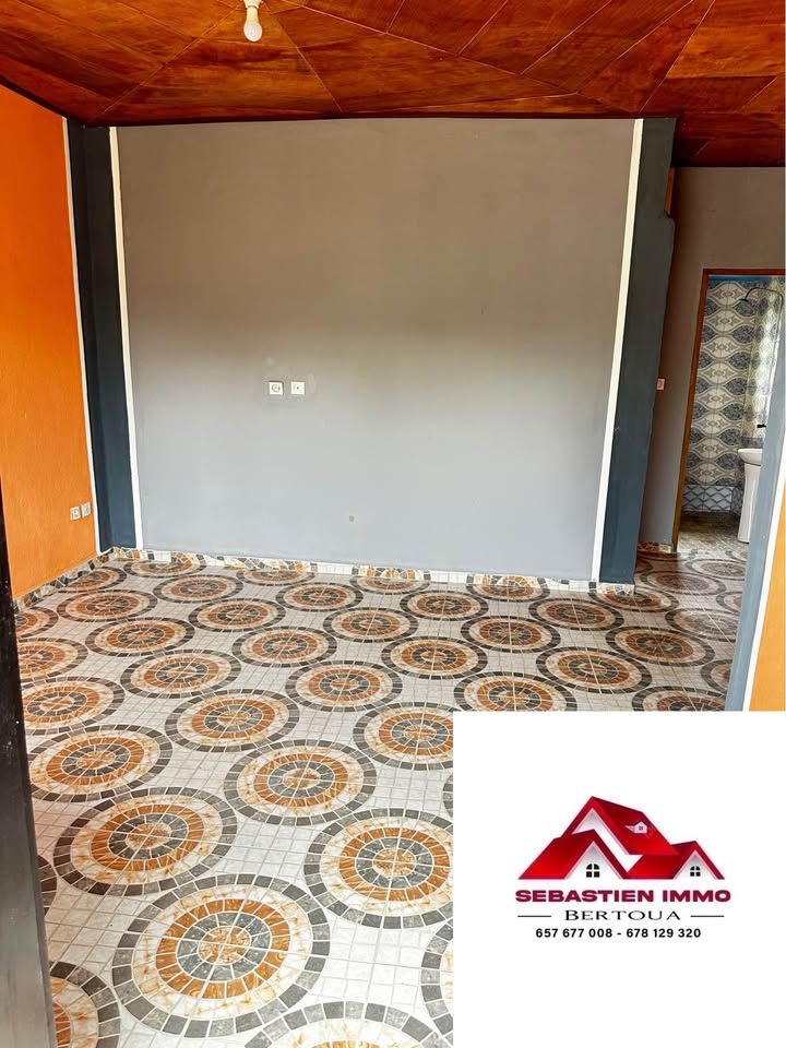 SI_studio_bertoua_290326_sln1